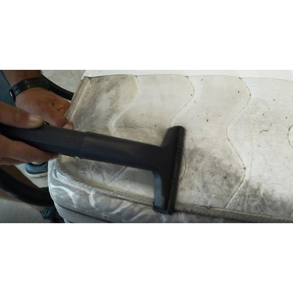 Aspirator profesional cu generator de abur Bieffe Clean Vapor Junior